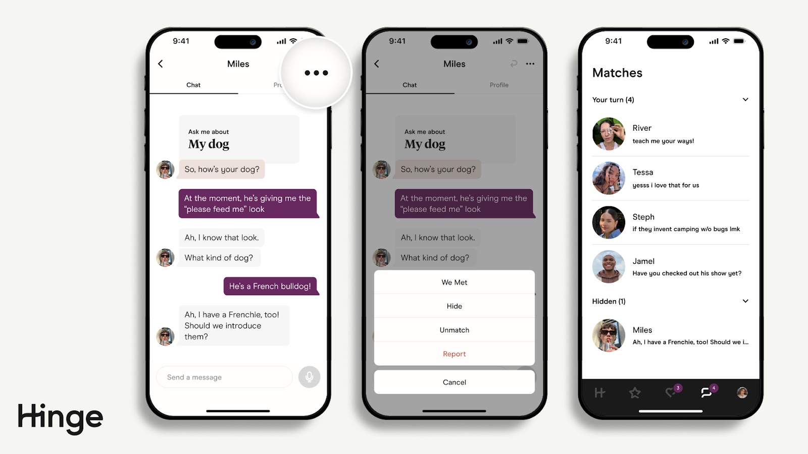 Hinge App Chat Page with Ellipses Icon Highlighted in the upper right. Tap Hide to hide conversation.