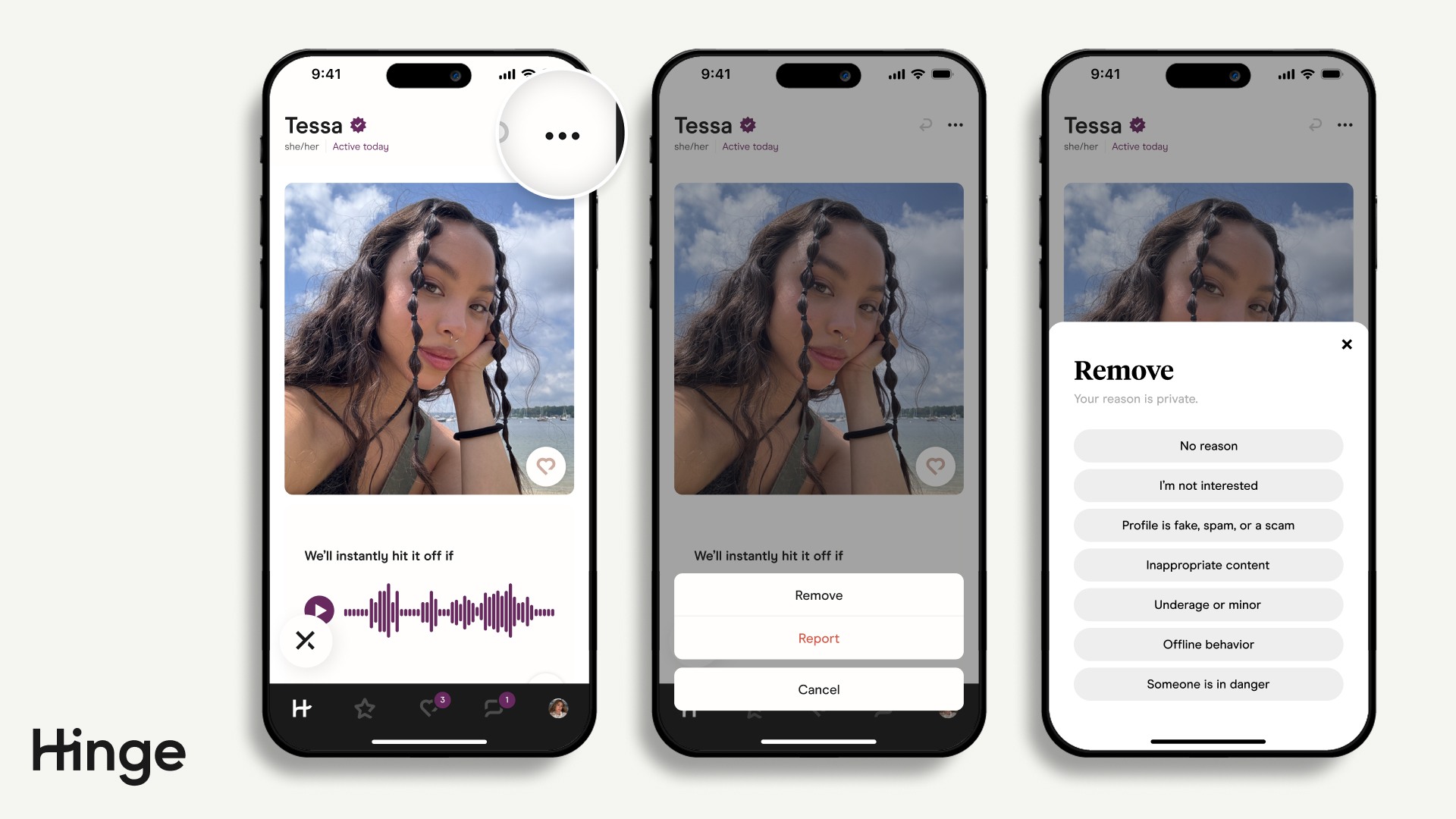 Hinge App Showing Ellipses in the top Right Corner Highlighted. Then Options to Report or Remove user.
