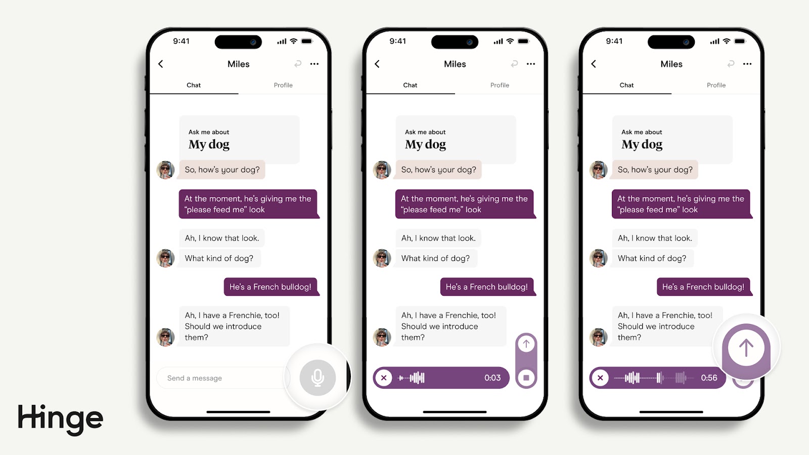 Hinge app chat screen showing the microphone icon used to record and send a voice note to a match